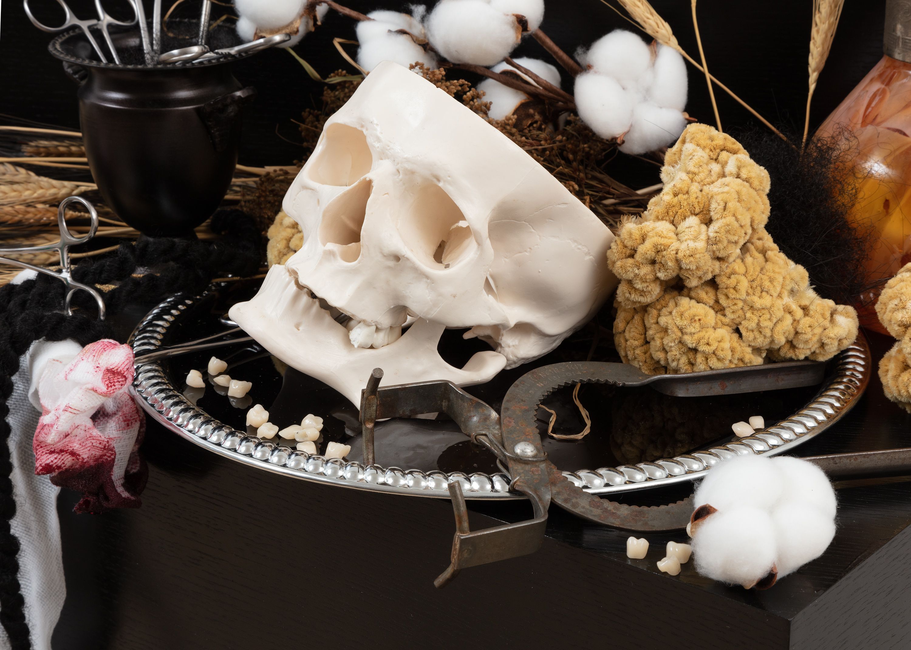 Detail of the skull, teeth, and cotton on the shelf of the artwork.