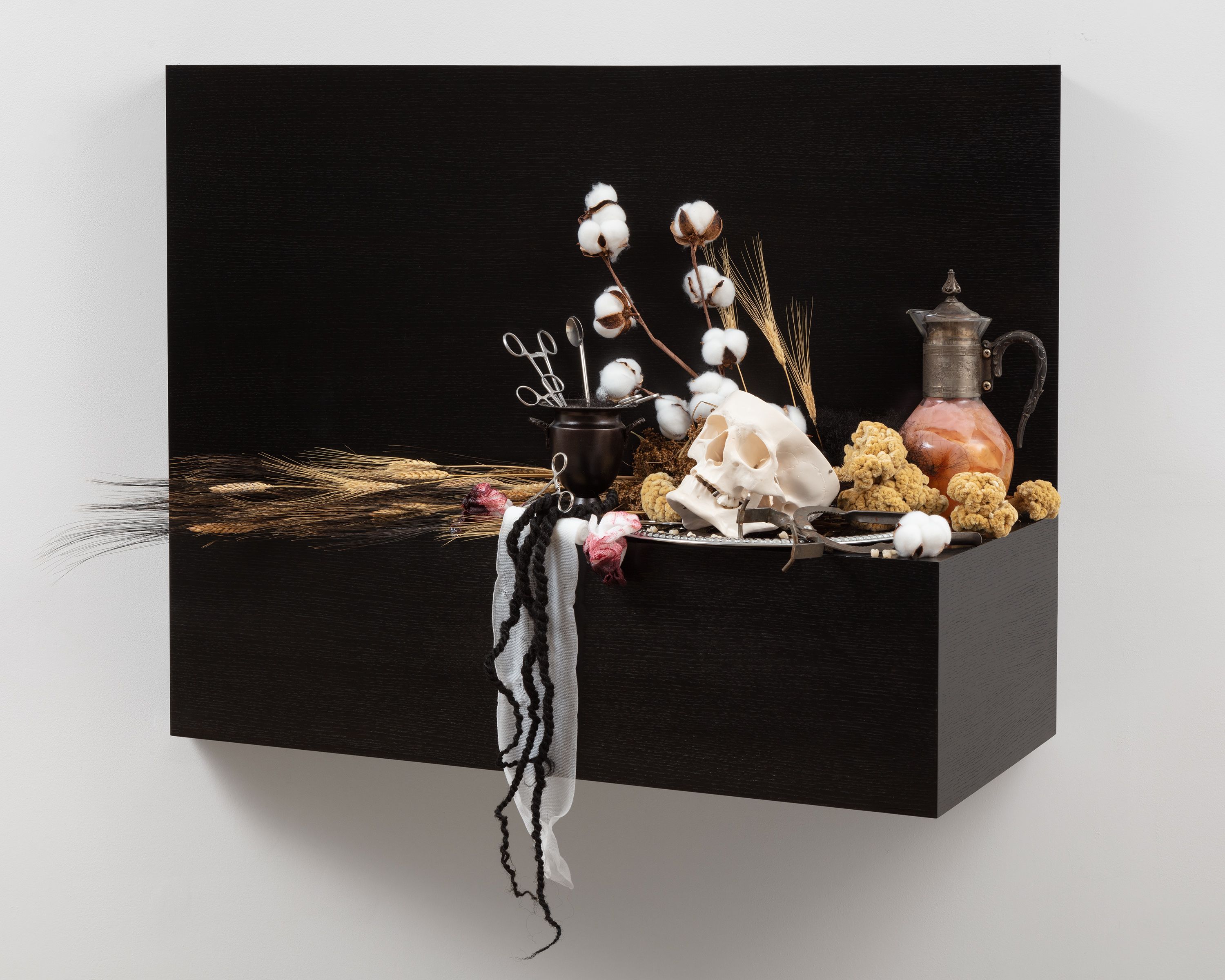 This sculpture is a wooden shelf mounted to wall. The shelf is stained a very dark brown, and is covered in a number of objects, including a human skull, several surgical scissors, medical gauze, branches of cotton, wheat, human teeth and hair, and a pitcher filled with silicon resembling flesh.
