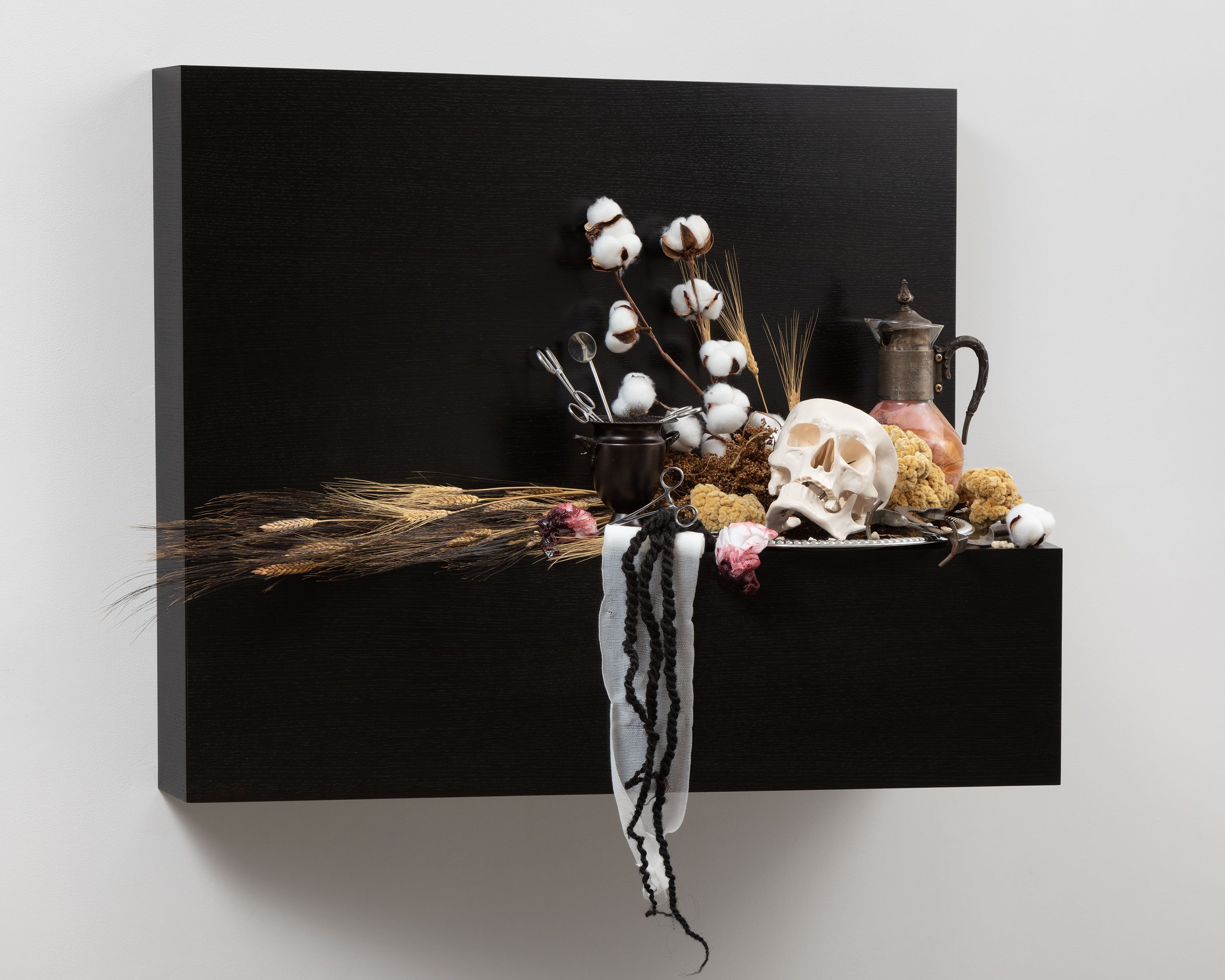 This sculpture is a wooden shelf mounted to wall. The shelf is stained a very dark brown, and is covered in a number of objects, including a human skull, several surgical scissors, medical gauze, branches of cotton, wheat, human teeth and hair, and a pitcher filled with silicon resembling flesh.